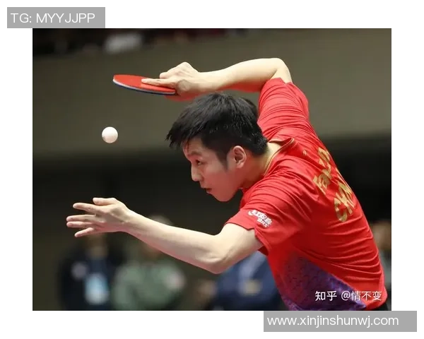 成都乒乓球队快攻战术解析与深度剖析乒乓球运动的魅力与技巧