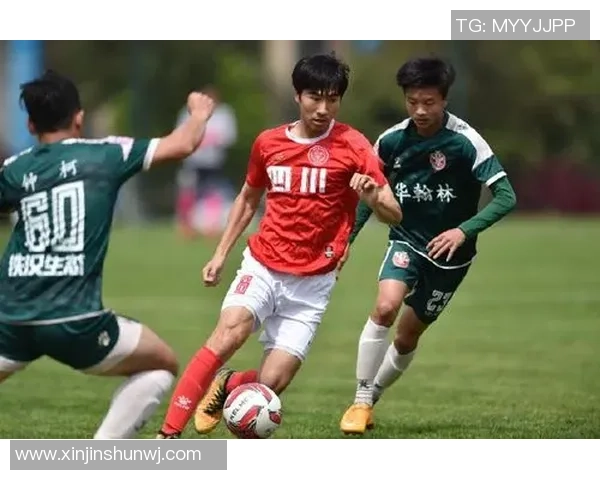 广州篮球队实力强劲荣登全国力量排行榜第七名