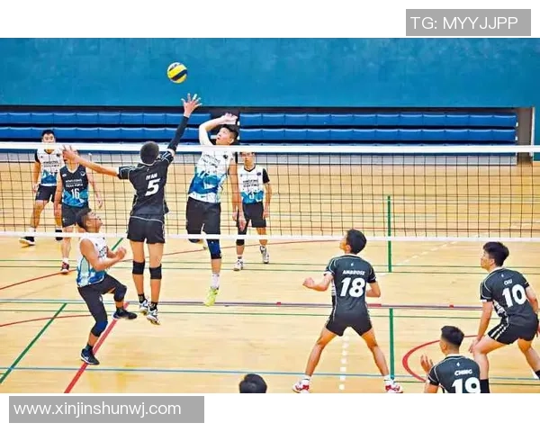 排球速度排名：上海排球队创新高