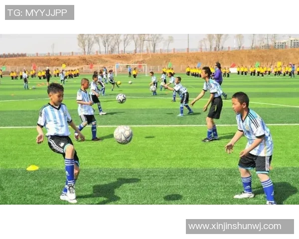 现象级足球明星盘点他们如何改变了足球历史与文化 现象级足球明星盘点他们如何改变了足球历史与文化