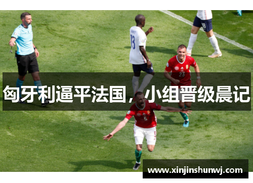 匈牙利逼平法国，小组晋级晨记
