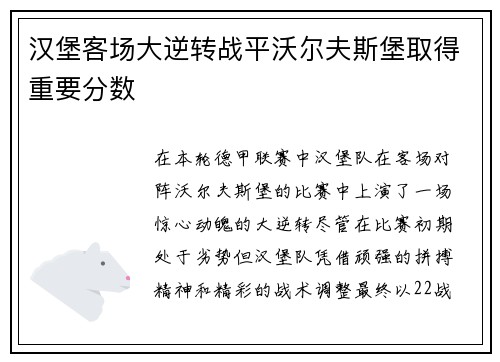汉堡客场大逆转战平沃尔夫斯堡取得重要分数